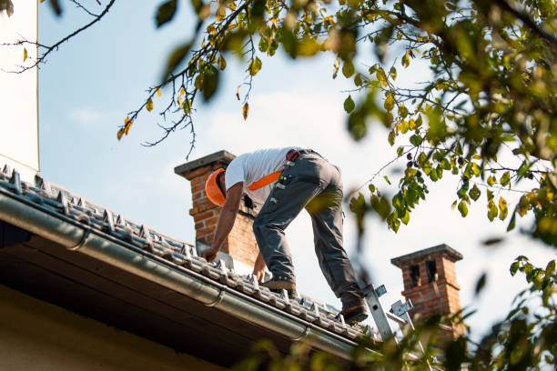 Best Local Roofing Companies  in Orfordville, WI